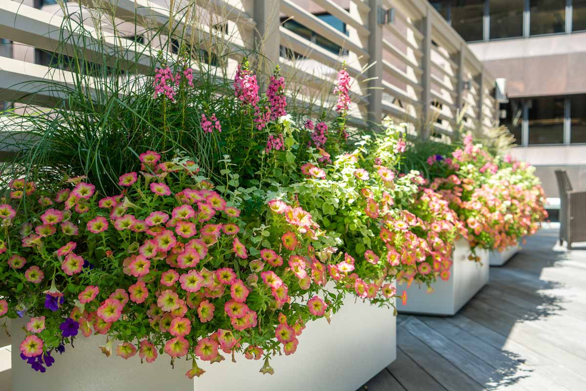 Exterior_DSC04834