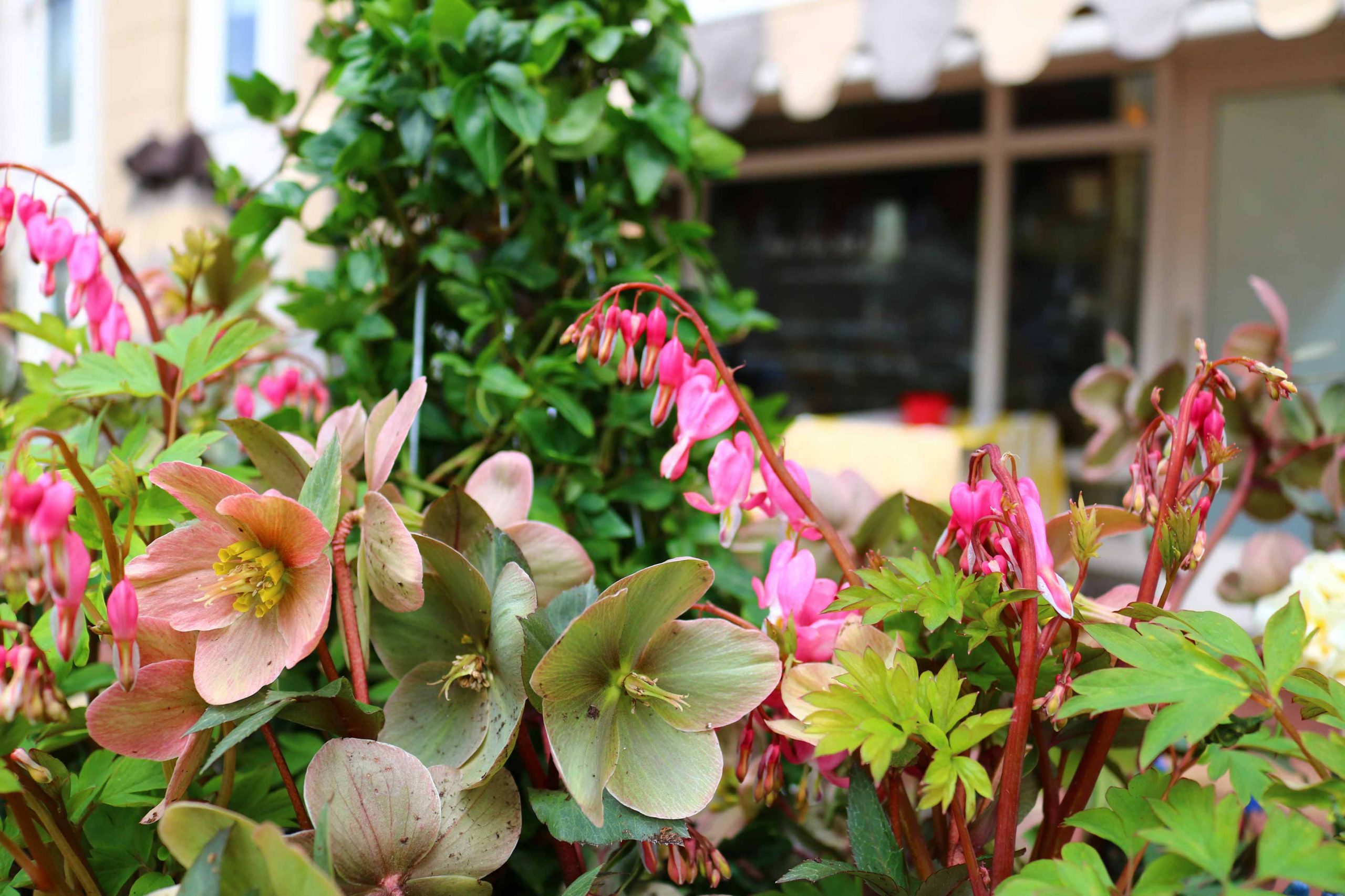 Exterior_Spring-Rowes-Wharf