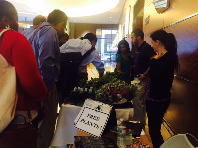 Boston_Cityscapes_Giving_Back_2