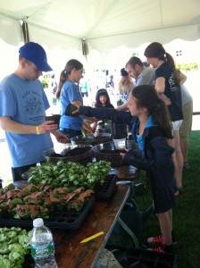 Boston_Cityscapes_Giving_Back_pap2