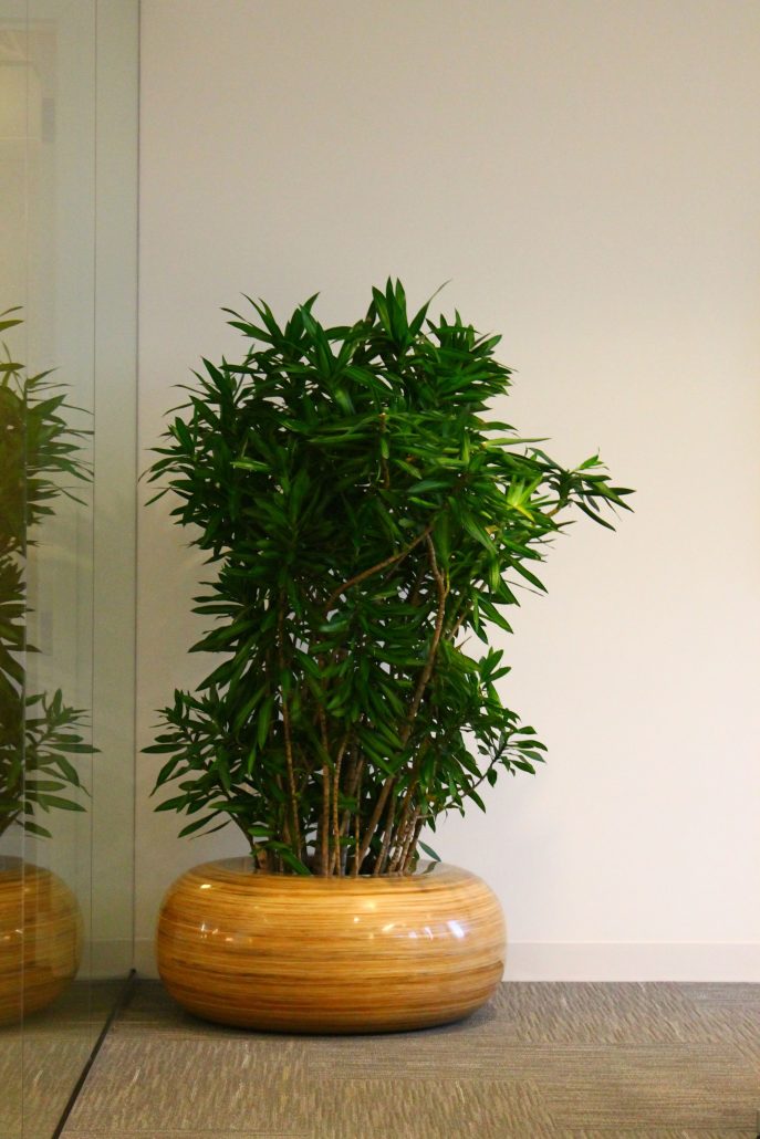CBREOffice3-687×1030