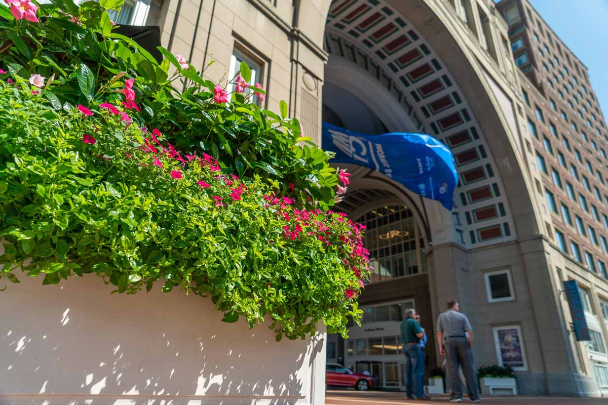 Exterior_DSC04903