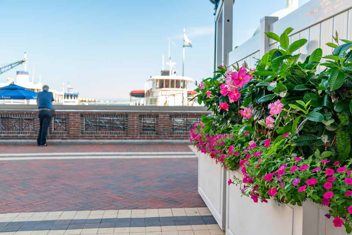 Exterior_DSC04907