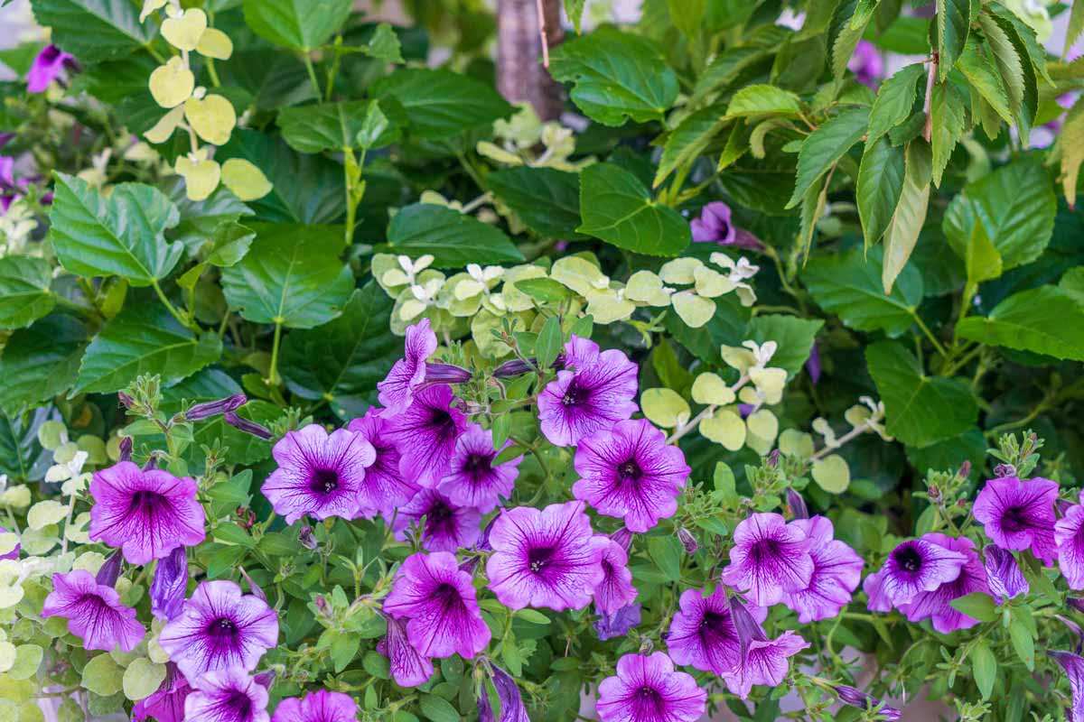 Exterior_DSC04933