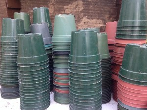 Growpots-300×225