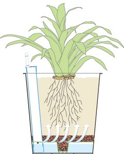 Irrigation1-242×300