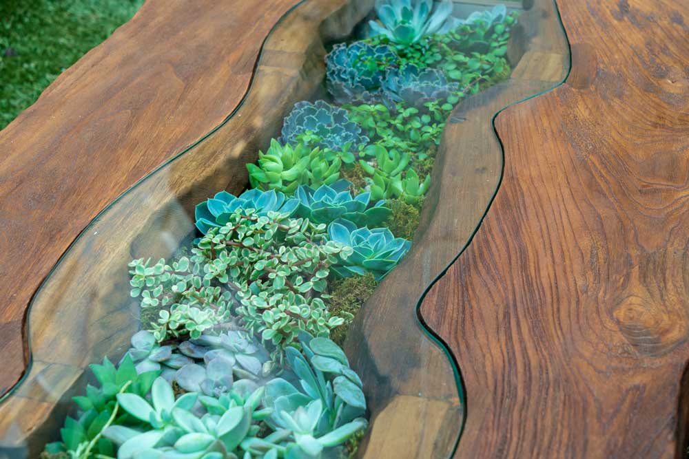 Living_FerNature15