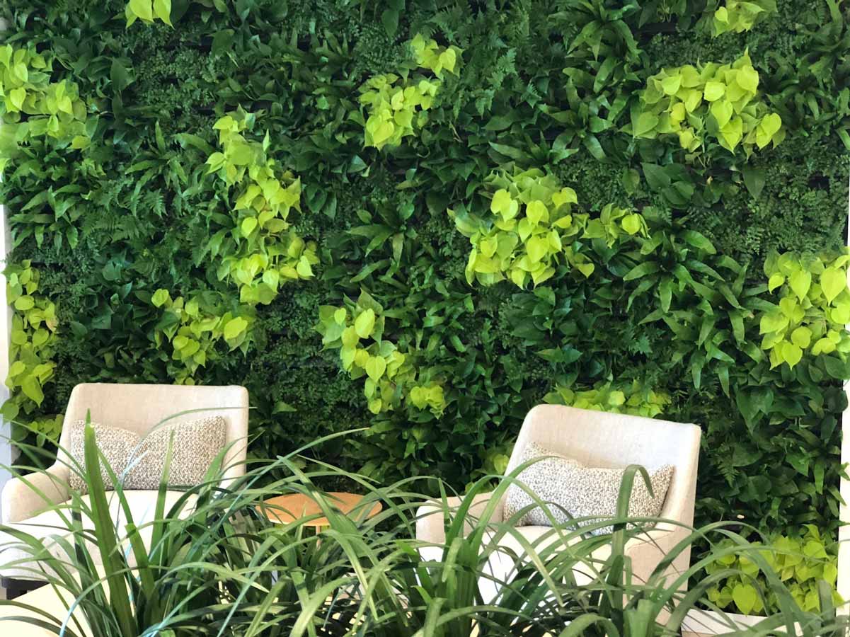 Living_Walls_IMG_1157