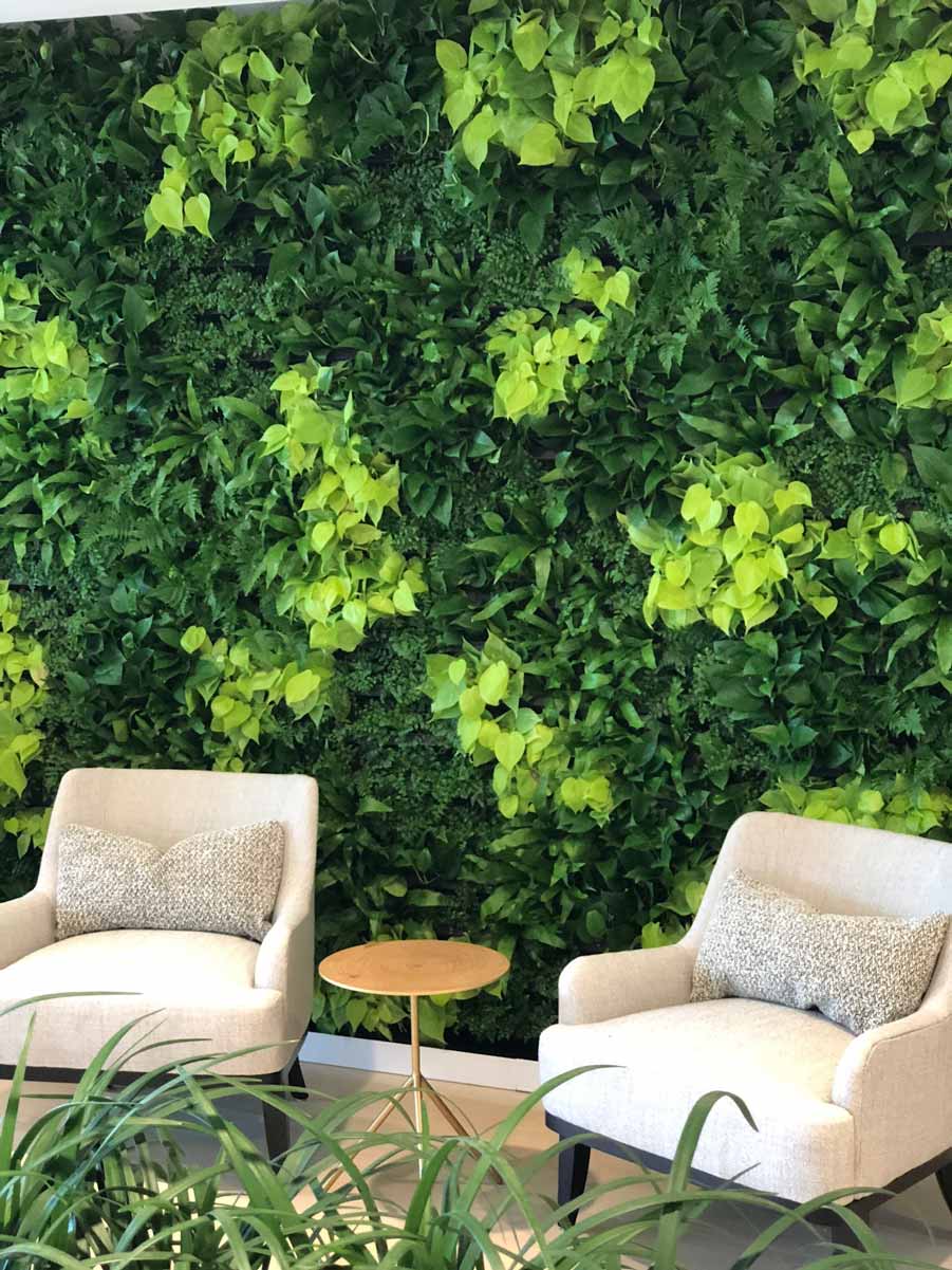 Living_Walls_IMG_1158