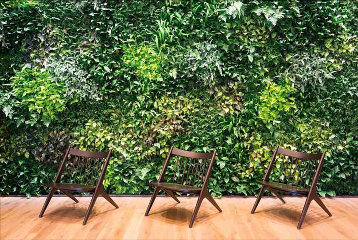 Living_Walls_VanNess1