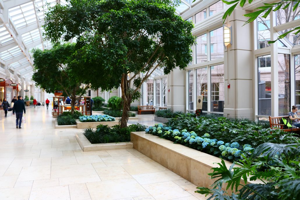 Shops2-1030×687