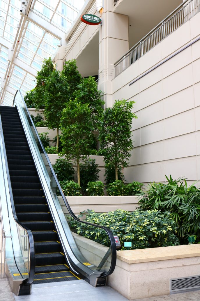 Shops5-687×1030