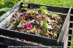 compost1-300×199