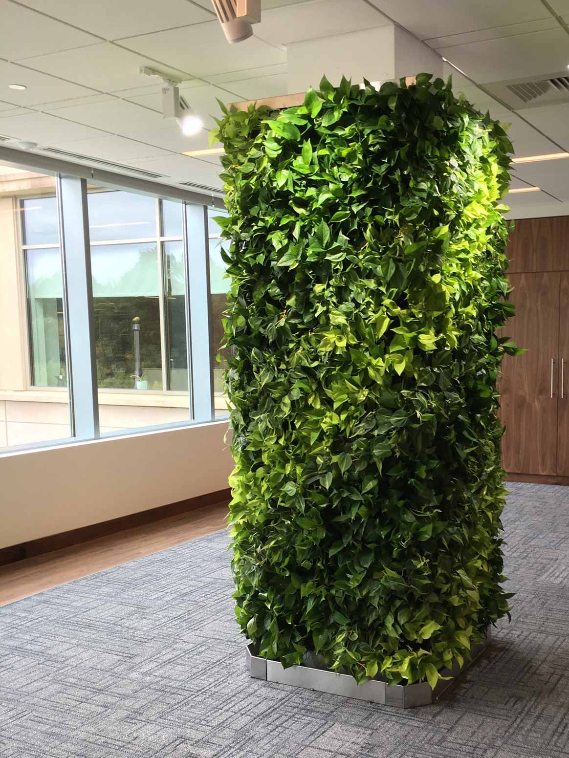 Specialty-Living-Wall-Column-1
