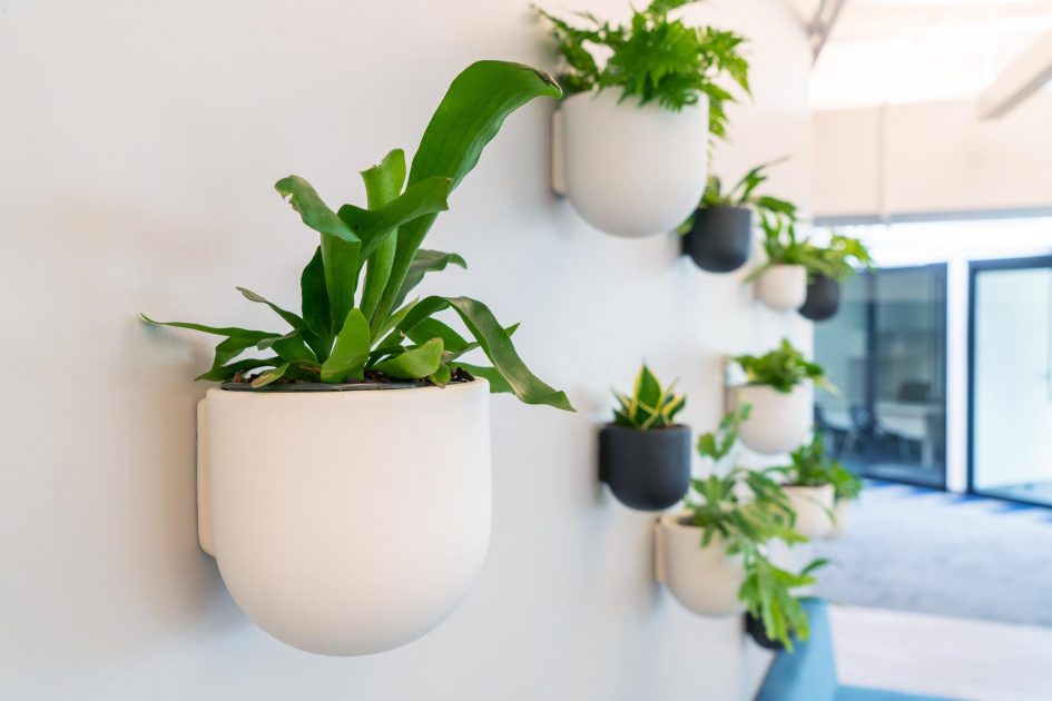 Specialty-Living-Wall-Pods-Kala2-1