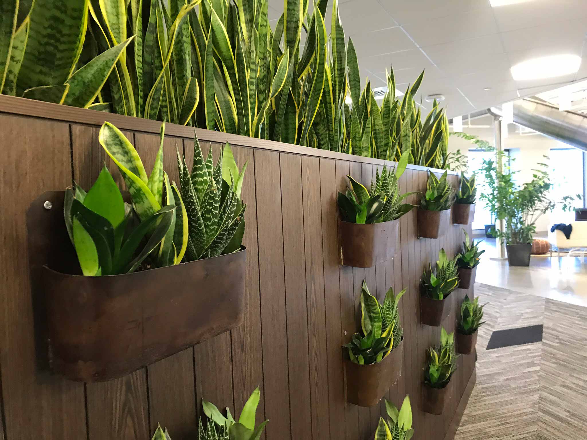 Specialty-Living-Wall-Trough-1-1
