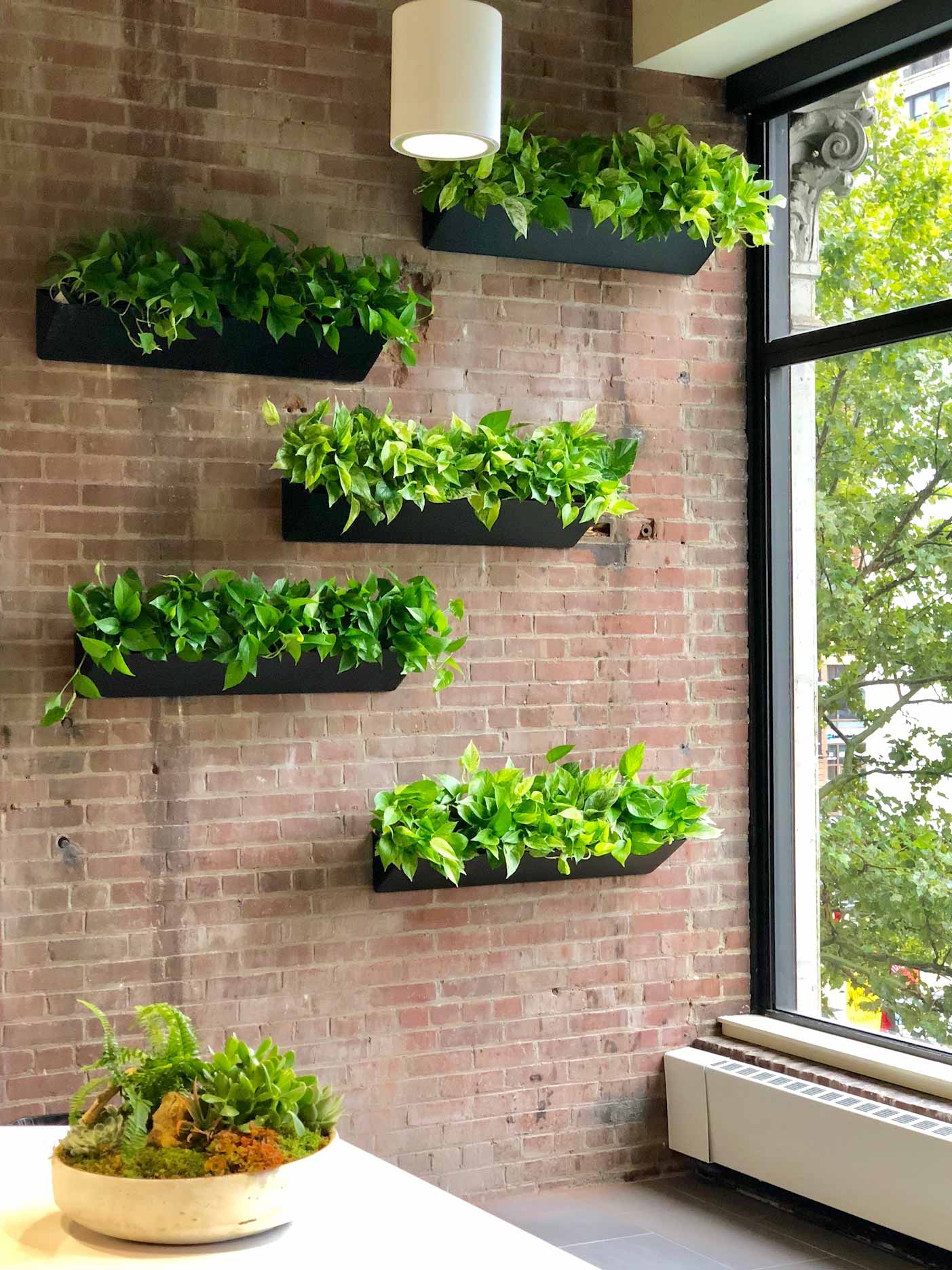 Specialty-Living-Wall-Troughs-1