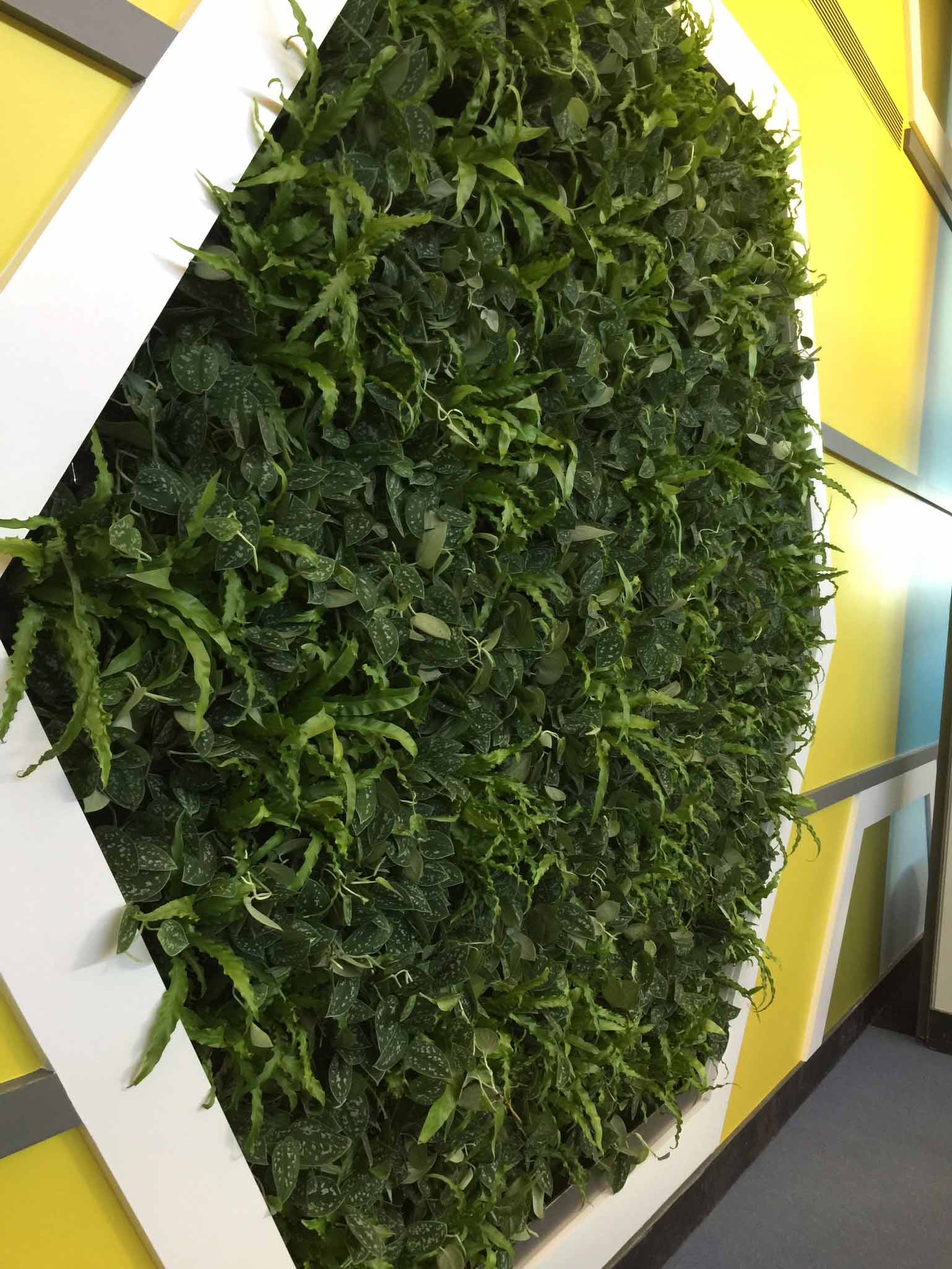 SpecialtyLivingWall3-1