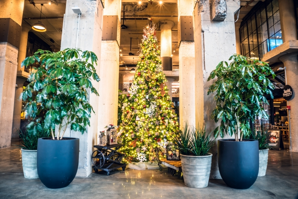 bio_aw_holiday_4