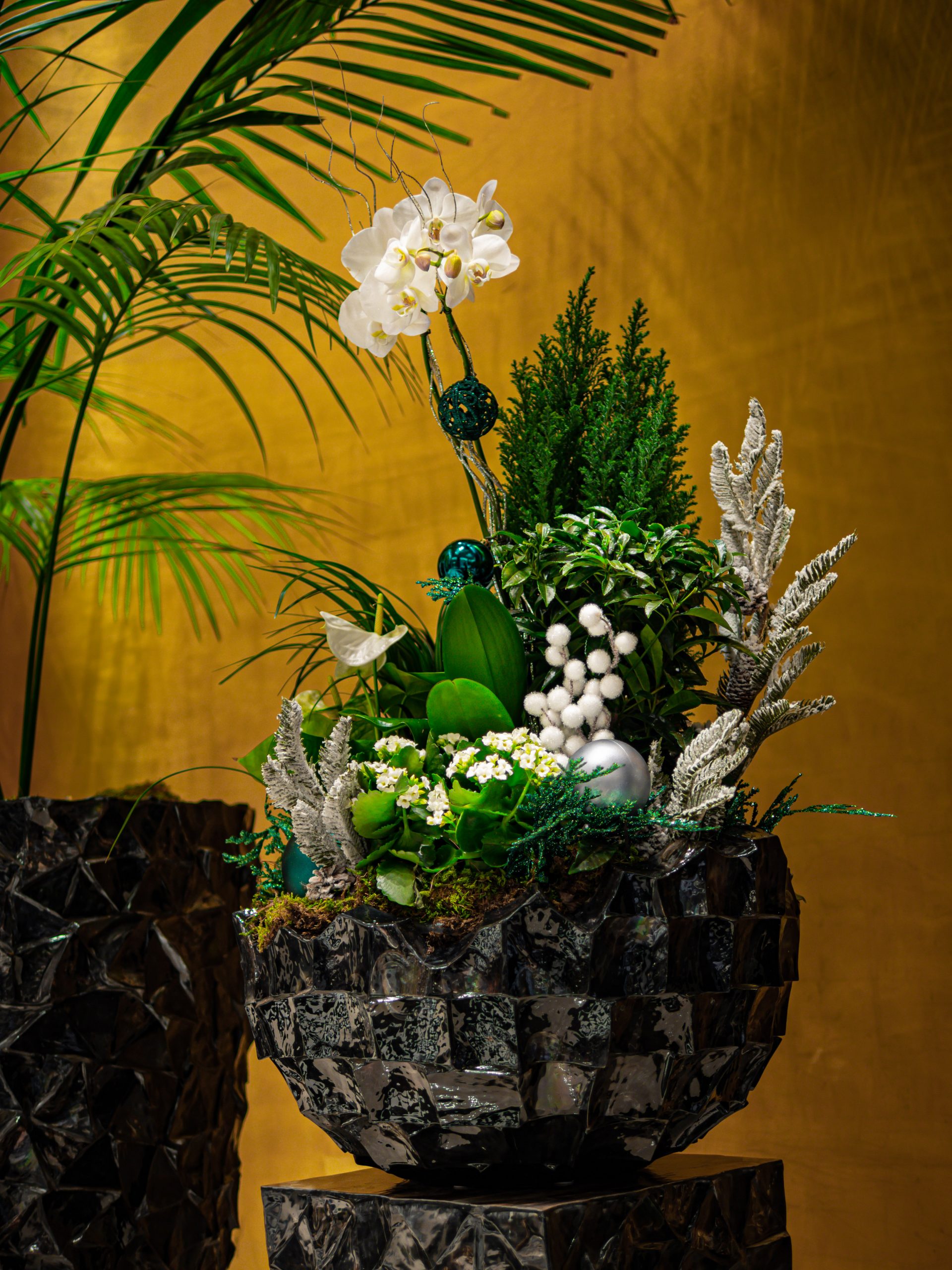 Holiday_500222-35