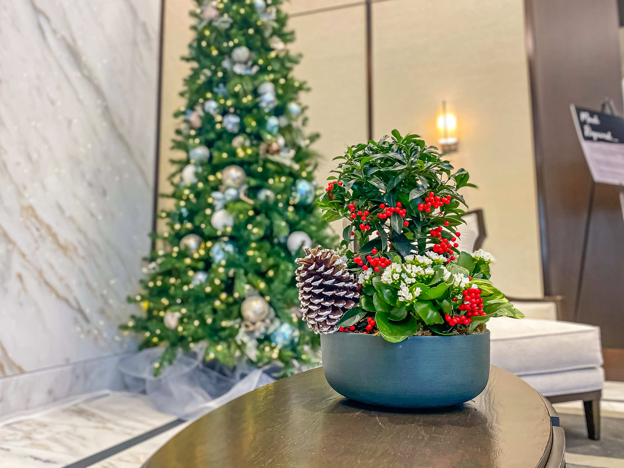 rowes_LA_Holiday
