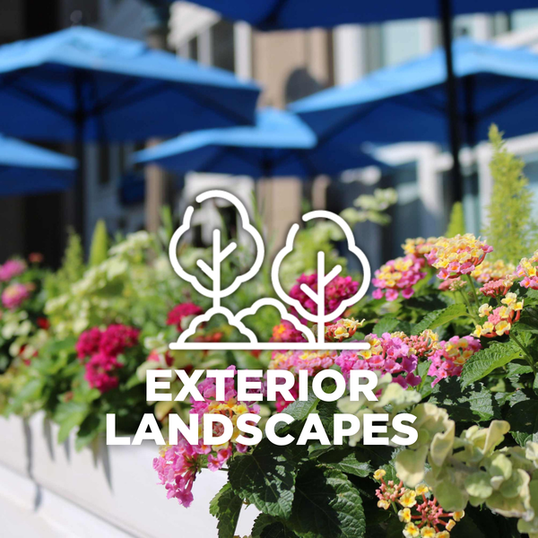 exterior landscapes