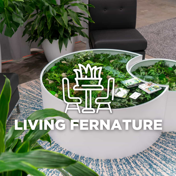 living fernature