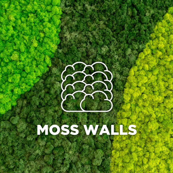moss walls