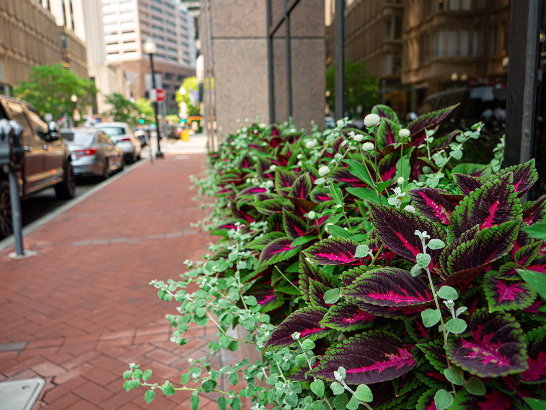 260 Franklin-17 (1)