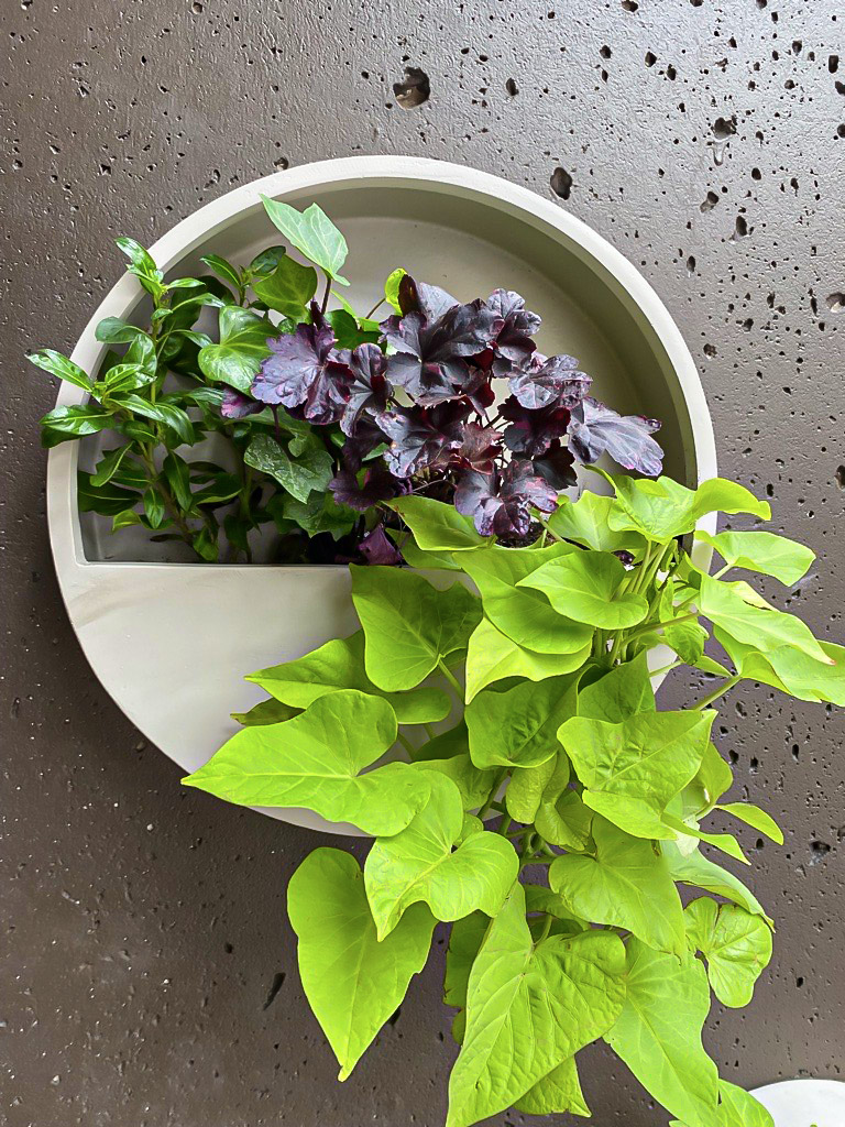 column planters_2