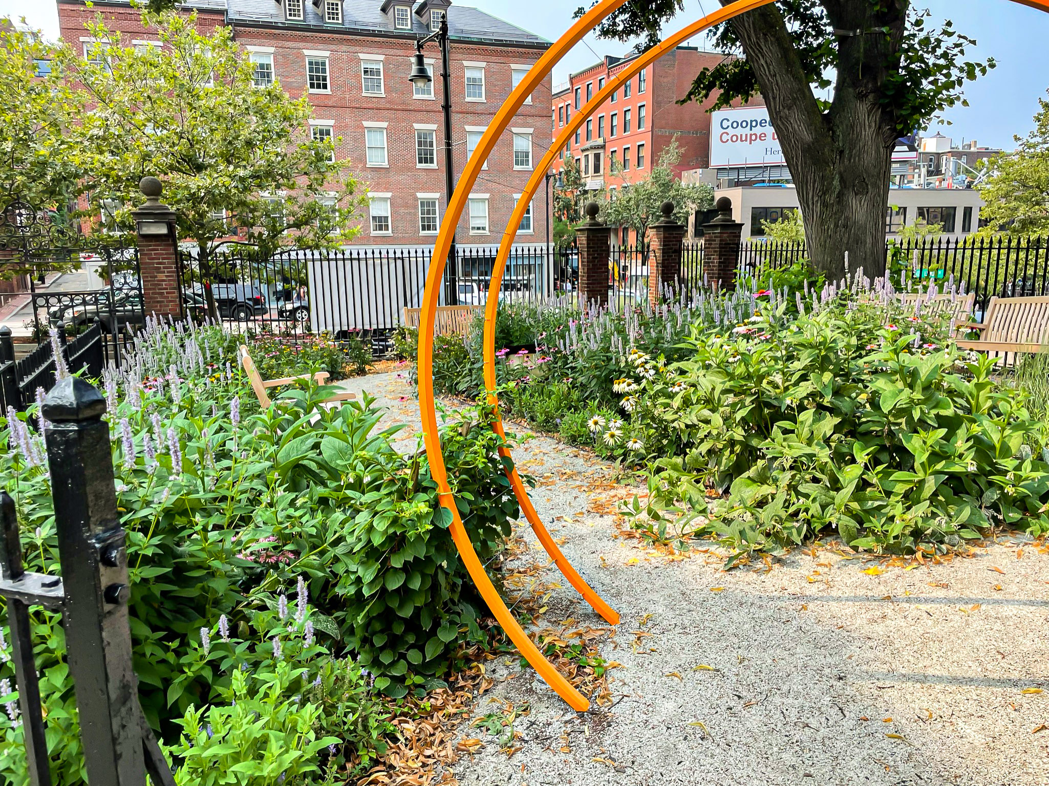 orange arch pollinator garden IMG-1822