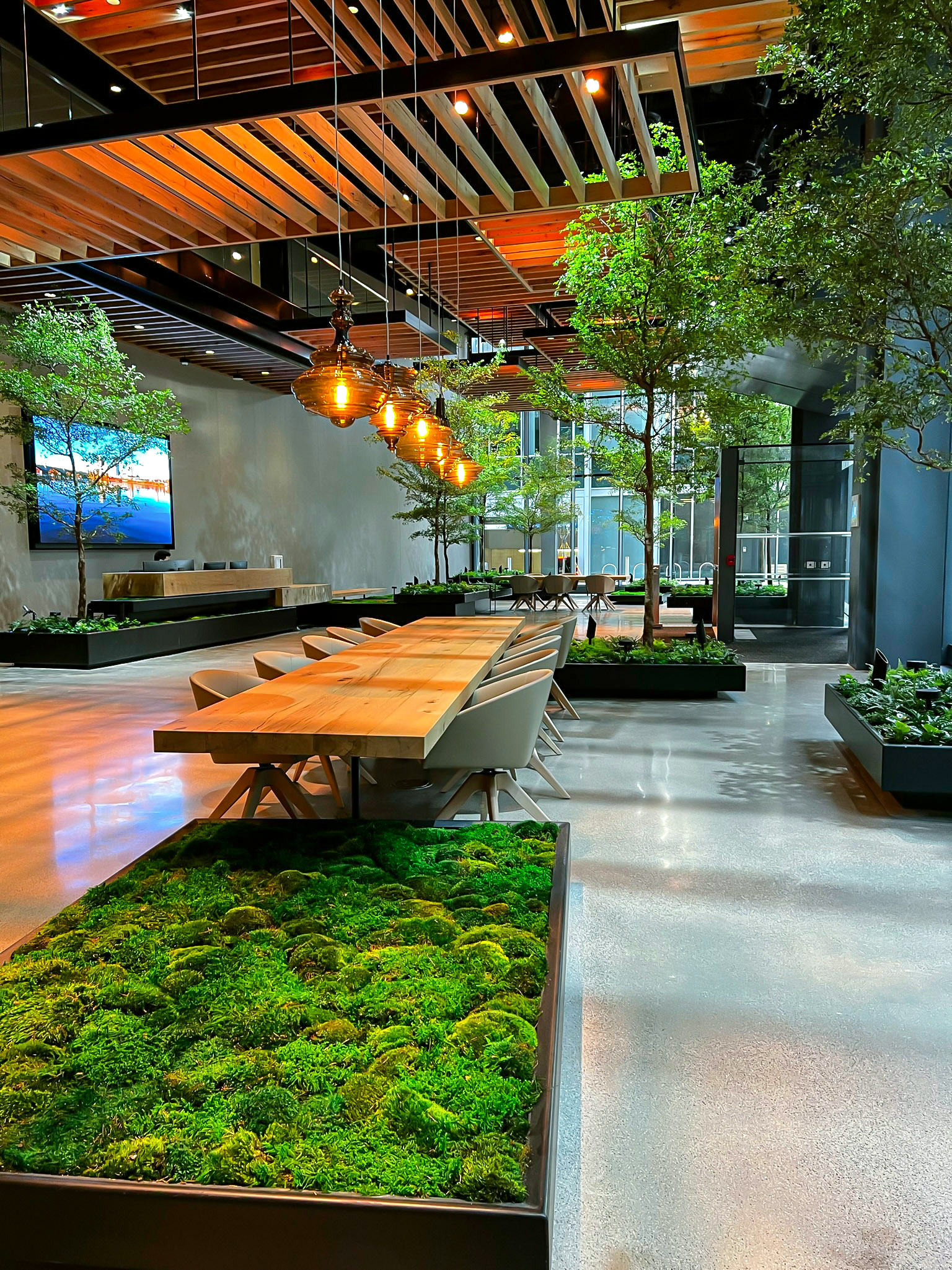MassMutual moss