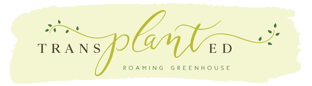 transplanted alternative logo (1)