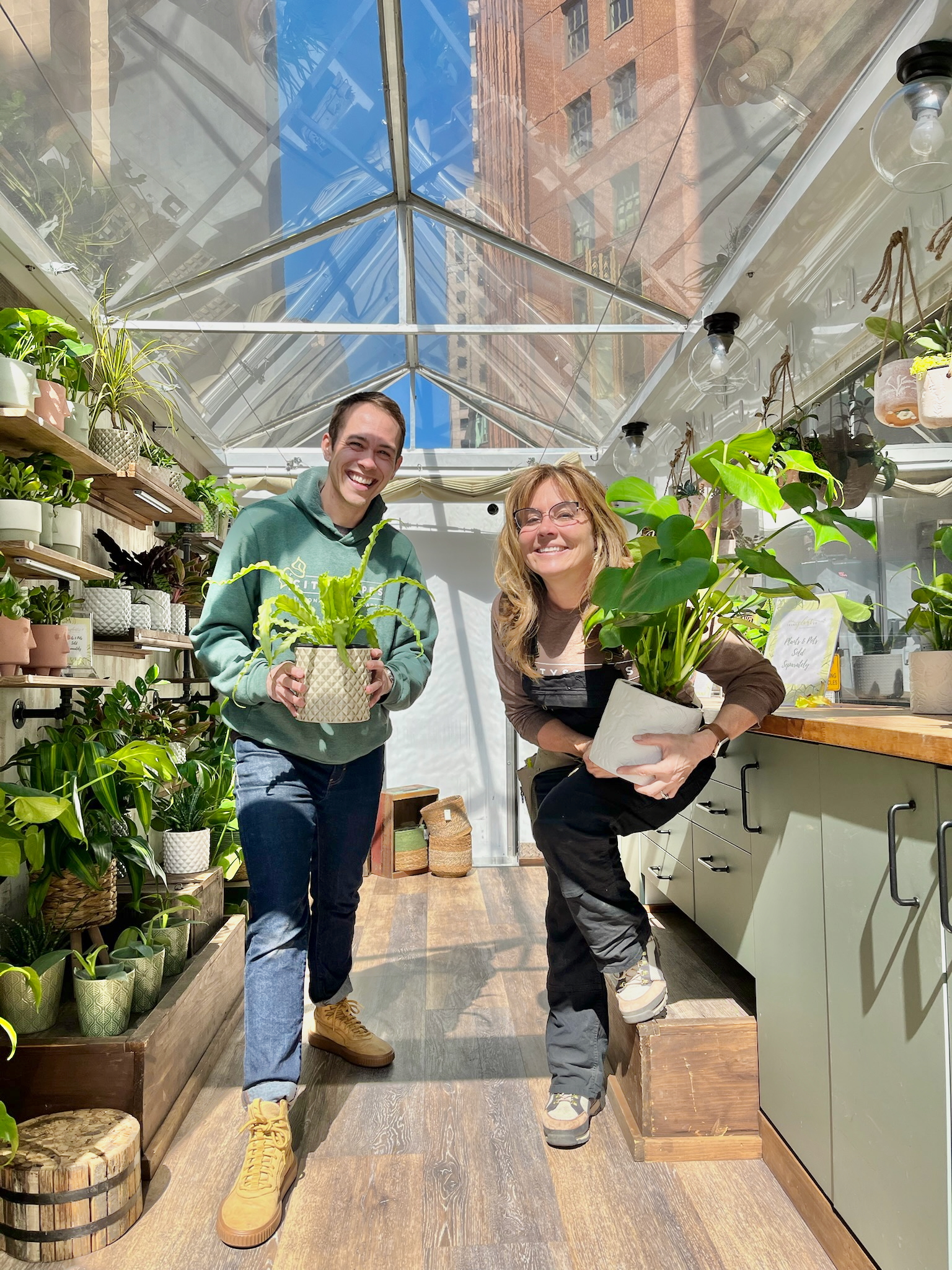 Transplanted plant shop